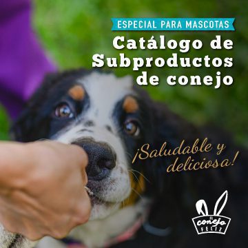 portada-catalogo-subproductos-conejofeliz2024