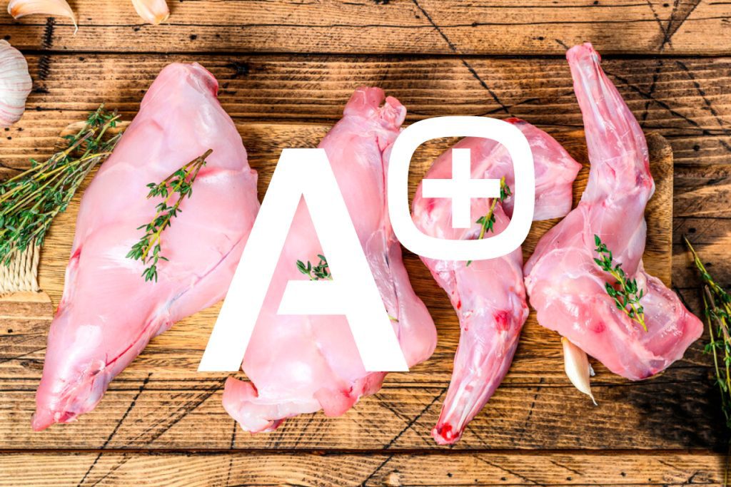 auditoria-haccp-linkedin-cuniandco-2024
