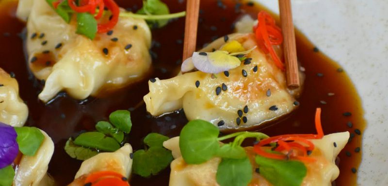 gyozas-conejo_recetas-web