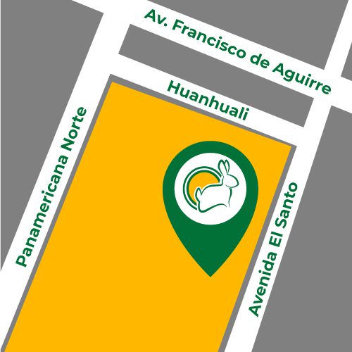 jumbo-laserena-mapa-500x500_cuniandco