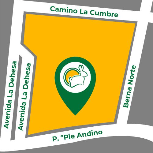 jumbo-pie-andino-mapa-500x500_cuniandco