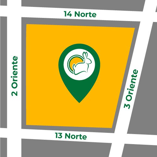 jumbo-vina-mapa-500x500_cuniandco