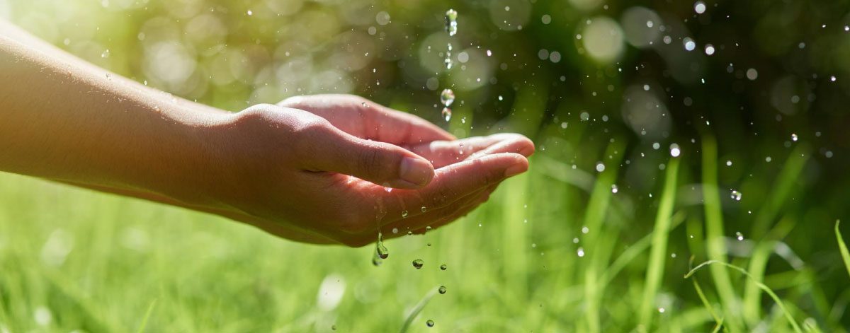 agua-blog-1200x471_cuniandco