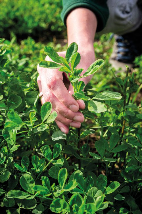 agua-blog-500x750-01_cuniandco