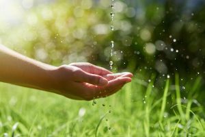 agua-blog-destacado-1200x800_cuniandco