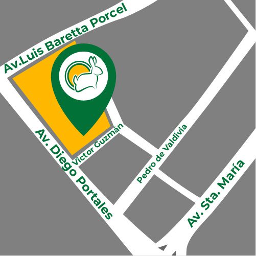 mapa-jumbo-arica_cuniandco