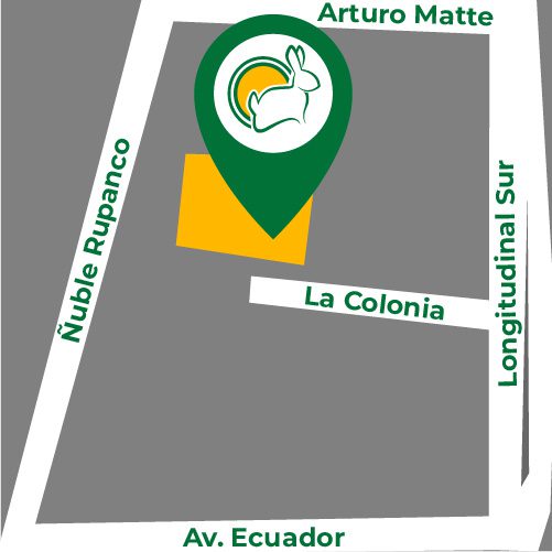 mapa-jumbo-chillan_cuniandco