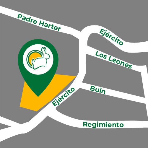 mapa-jumbo-ptomontt_cuniandco