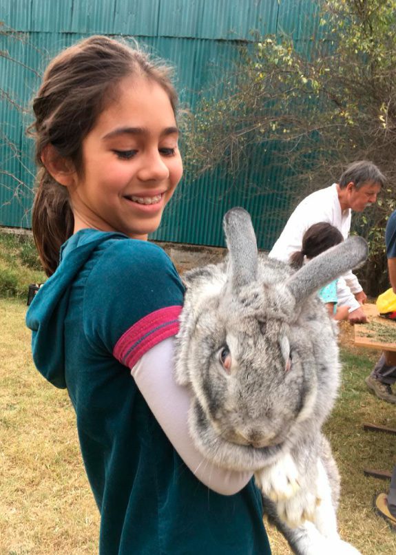 granja-educativa-conejofeliz