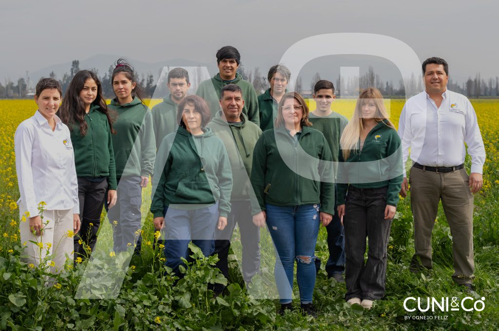 equipo-haccp-1024x680-cuniandco