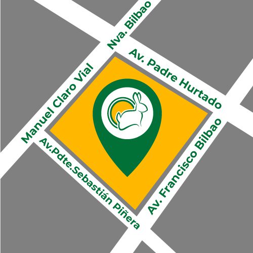 jumbo-lareina-mapa-500x500_cuniandco